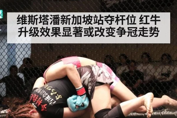 维斯塔潘新加坡站夺杆位 红牛升级效果显著或改变争冠走势